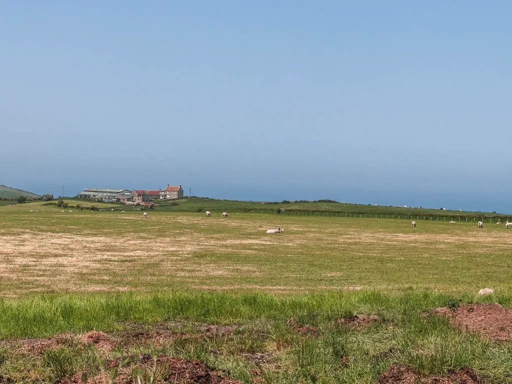 Looking over the large green field, with some farm buildings on the other side to the left.