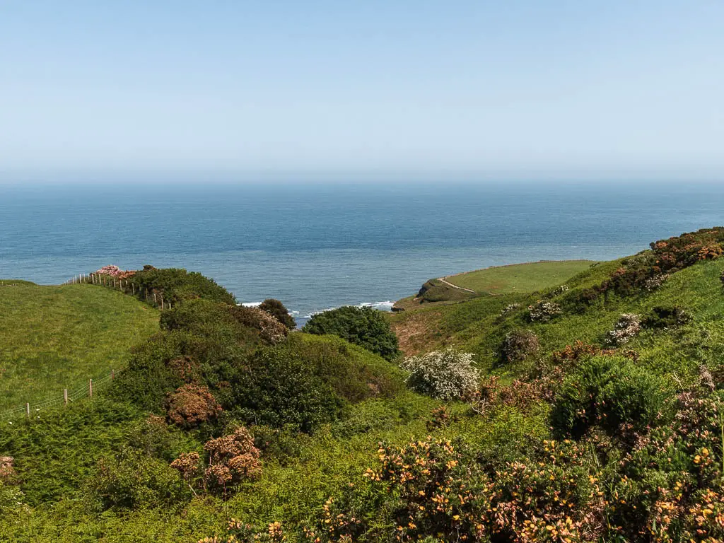 Looking down over the undulating clifftop, to the blue north sea on the other side, on the walk from Whitby to Robin Hood's Bay, along the cinder track.