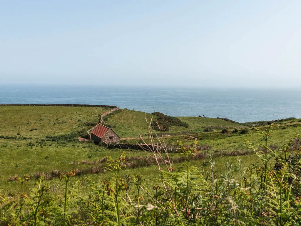 Looking over the undulating green fields, with a small stone walled cottage in the middle, and the blue North Sea ahead in the distance. 