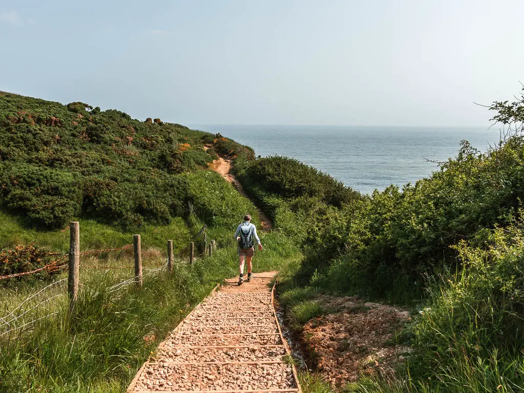 Stoney steps leading down hill, with bushes to the right, and overgrown grass and a wire fence to the left, and a green bush covered uphill ahead. There is a person walking down the steps.