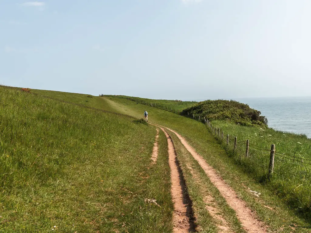 A long strip of trail leading across the undulating grass hilltop. There is a person walking along the trial ahead. 