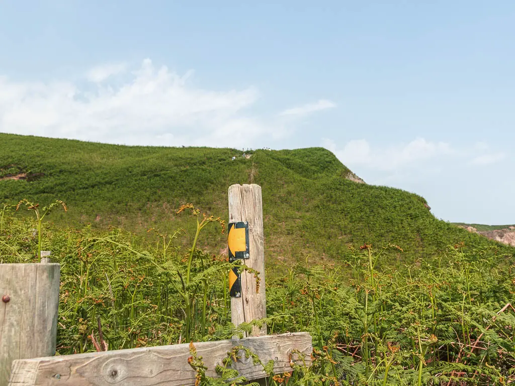 Yellow arrows on a wooden post, with a big green grass and bush covered hill in the distance behind it.