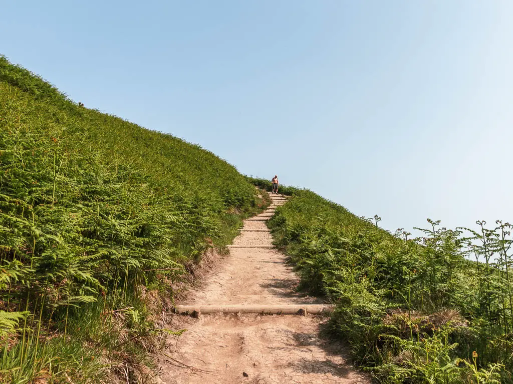 A dirt trail, leading steeply uphill, with a green grass and fern covered hill leading up the left side. There is a person walking along the trail ahead.