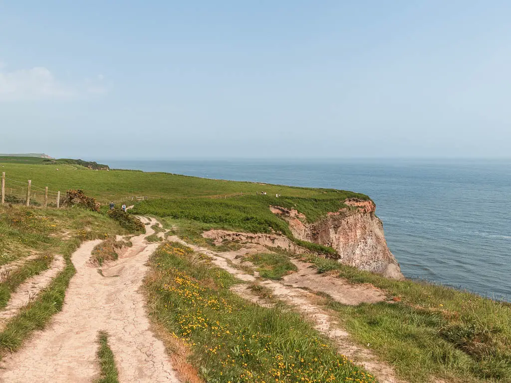 A rigged dirt trail along the cliff top, with the cliffside just visible below to the right. The clifftop is covered in grass ahead. 