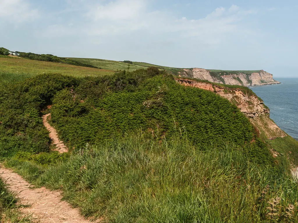 Looking to a dip in the hills, which are covered in tall green grass and bushes. There is a dirt trail visible up the hill ahead. There are cliffs meeting the sea to the right.