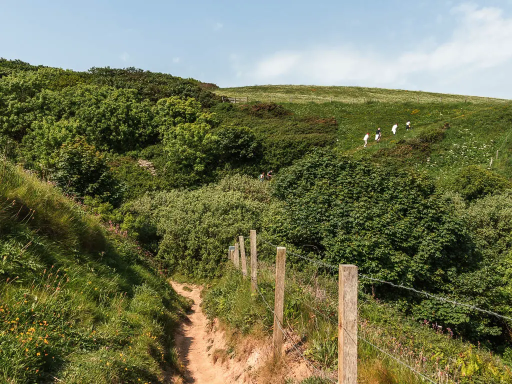 A dirt trail, with a green grass bank to the left, and wire and wooden fence to the right, with a green grass and tree covered hill ahead. There are people walking up the hill ahead.