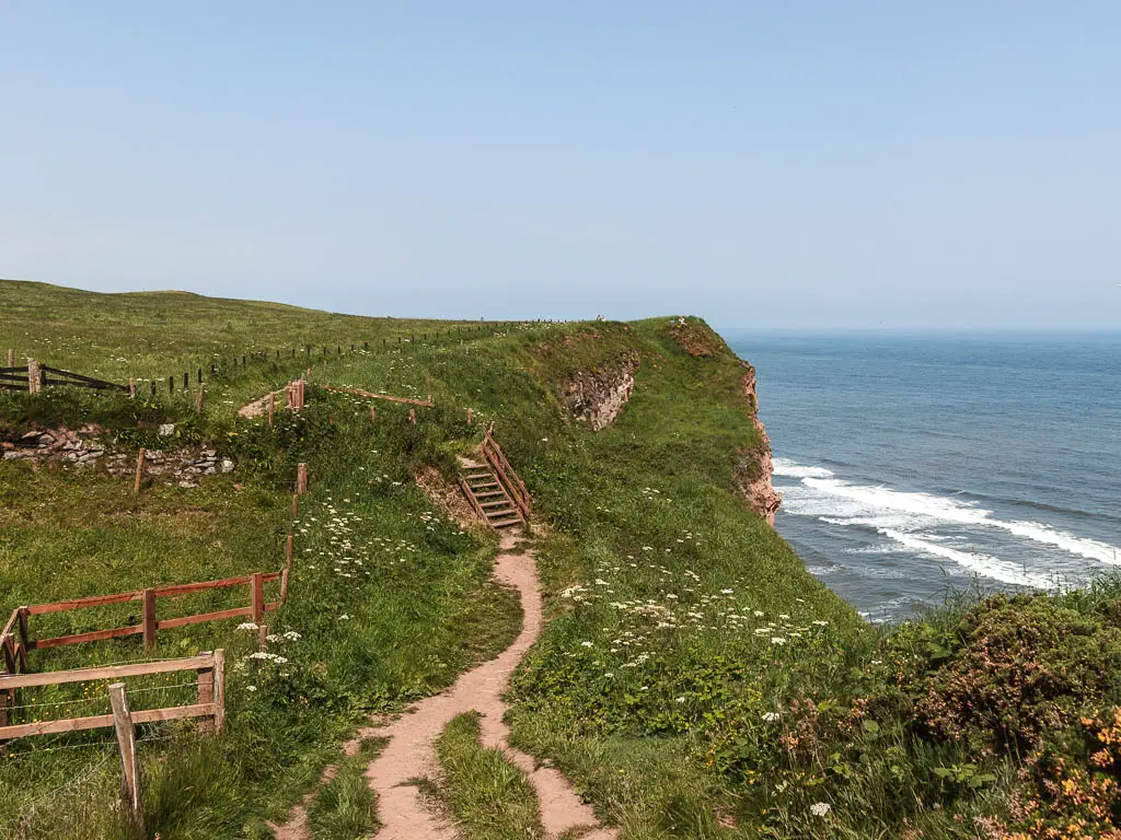 A slim path along the grass, undulating clifftop, leading to steps, on the coast path walk from Robin Hood's Bay to Whitby. The blue North Sea is below to the right.