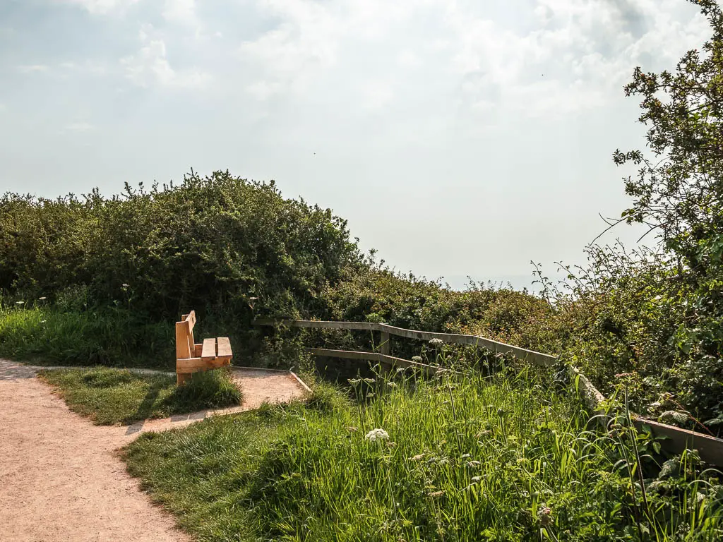 A wooden bench facing right, with the path behind it on the left. There are bushes in front of the bench, and wooden fence. 