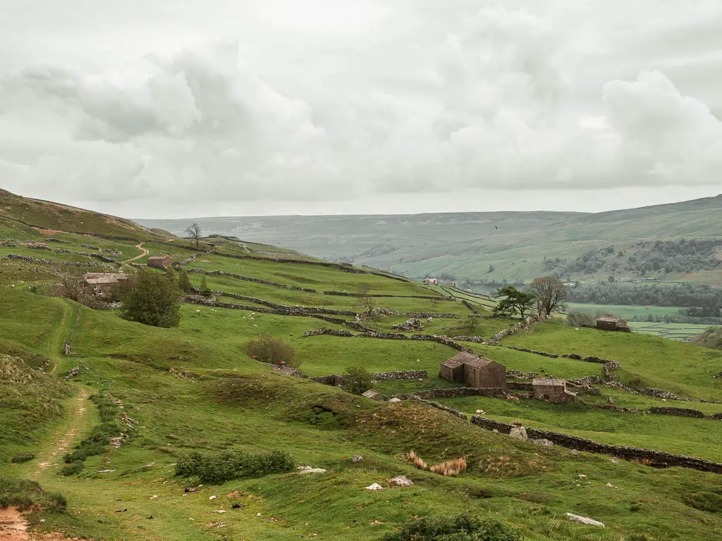 A green grass undulating hillside with a few stone sheds dotted about, near the end of the Gunnerside Gill circular walk, in the Yorkshire Dales. There are stone walls diving the fields in a rugged manor.