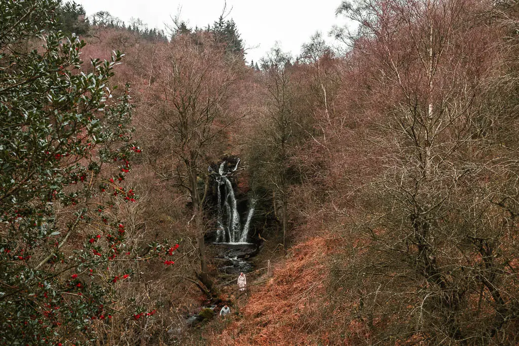 Looking through a gap in the trees towards a waterfall in the Valley of Desolation, after the walk down from Simon's Seat in the Yorkshire Dales.