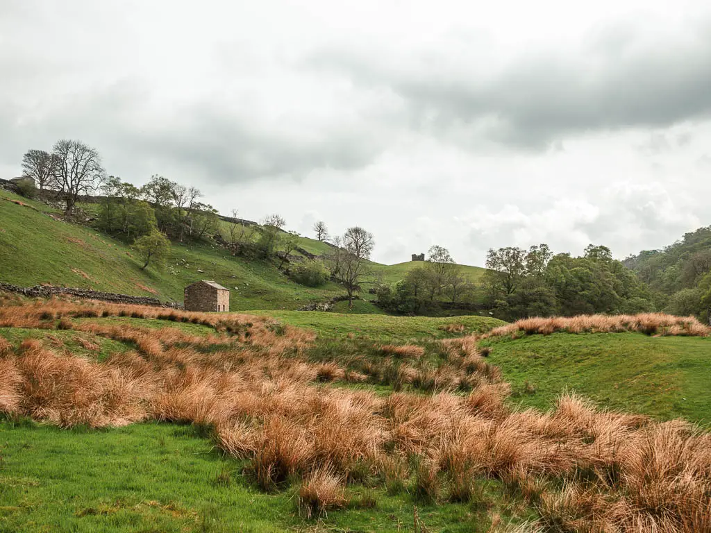 Looking across the undulating grass field with hay patches on the walk though Gunnerside Gill. There is a small stone hut ahead, and small hill rising up on the other side.