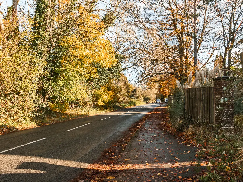 A road leading ahead, with a pavement on the right and bushes and trees on the left.