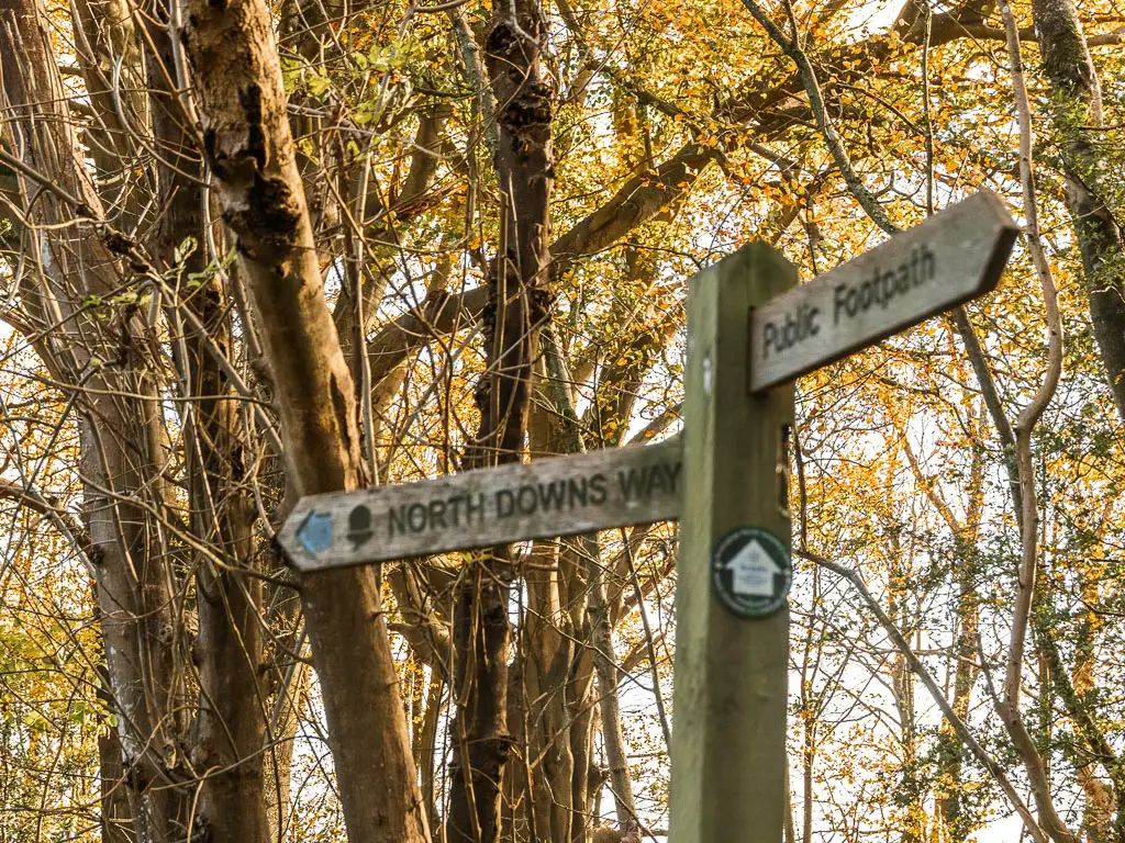 A wooden trail signpost pointing left for the North Downs Way towards Oxted. The sign is in front of some trees.