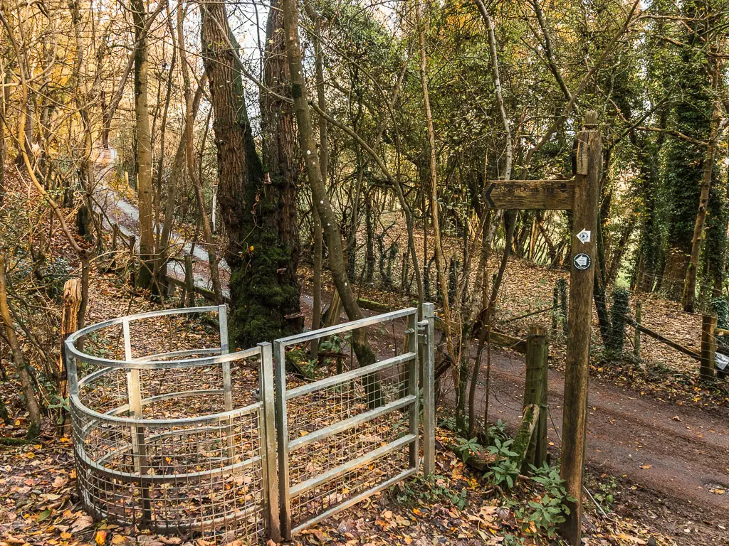 A curved metal gate and fence on the edge of the woods, with the road ahead below it. There is a wooden trial sign on the right with arrows poitning through the gate.