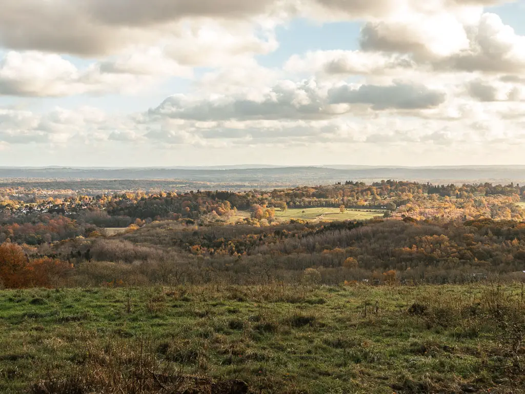 Looking across the the undulating fields of green with woodland forest ahead, on the wall from Merstham to Oxted. The sun is shining down creating a golden glow. 