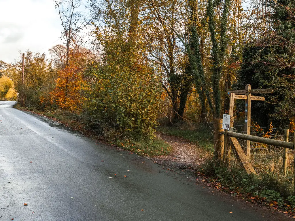 A dirt trail leading off the road, past the bushes into the woods. There is a wooden trial signpost next to the trail.