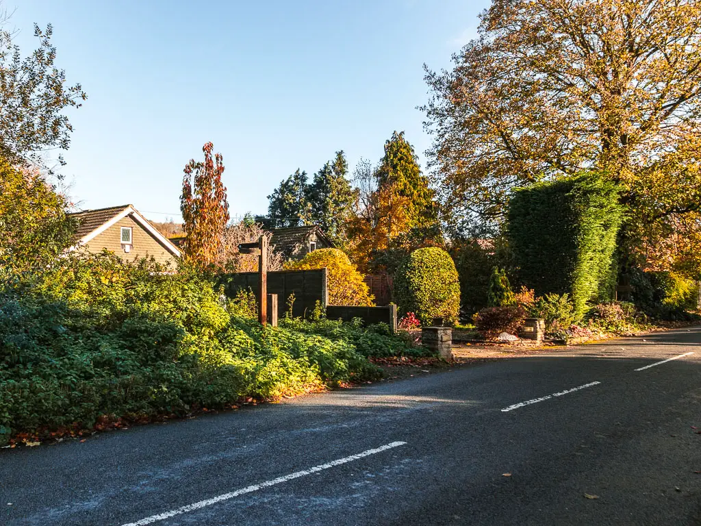 Looking across the road to a mass of green and neatly cut hedges. with a rooftop poking out the top. 