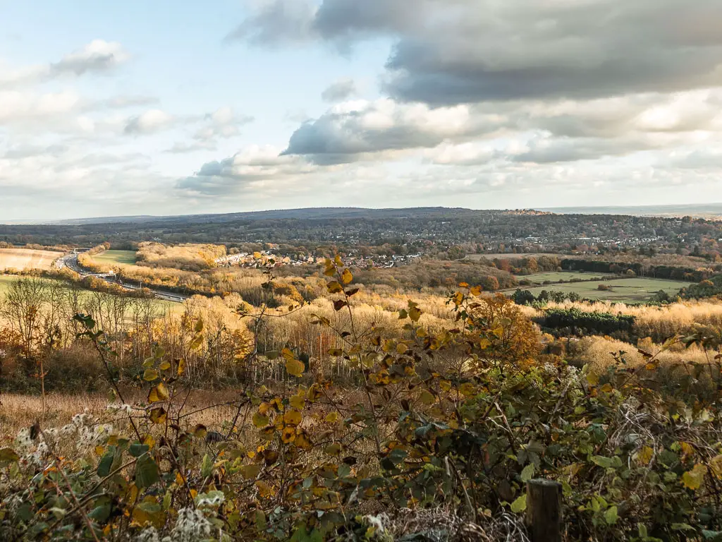 Looking over the bush to a view below of fields and trees leading into the horizon, near the end of the walk between Merstham and Oxted.