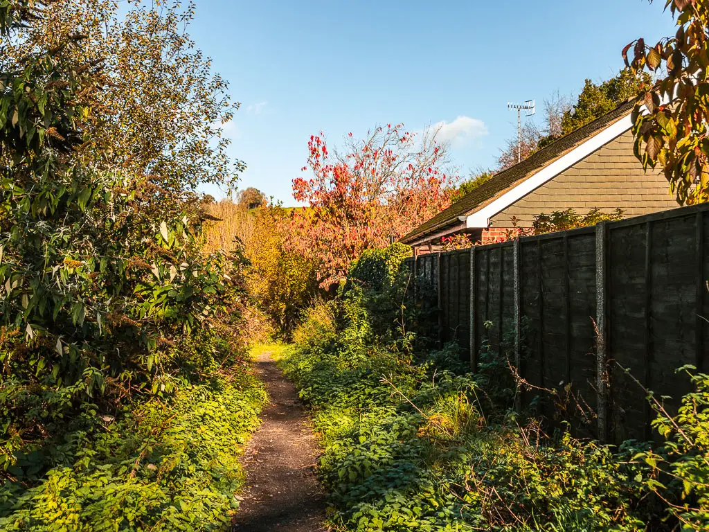 A narrow path lined with grass, and a tall wooden fence on the right and bush on the left. There is a rooftop over the other side of the fence. 