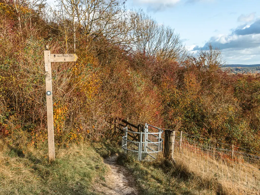 The path leading to a metal curved gate, in front of a mass of bushes. There is a wooden trail sign on the left, pointing right through the gate.