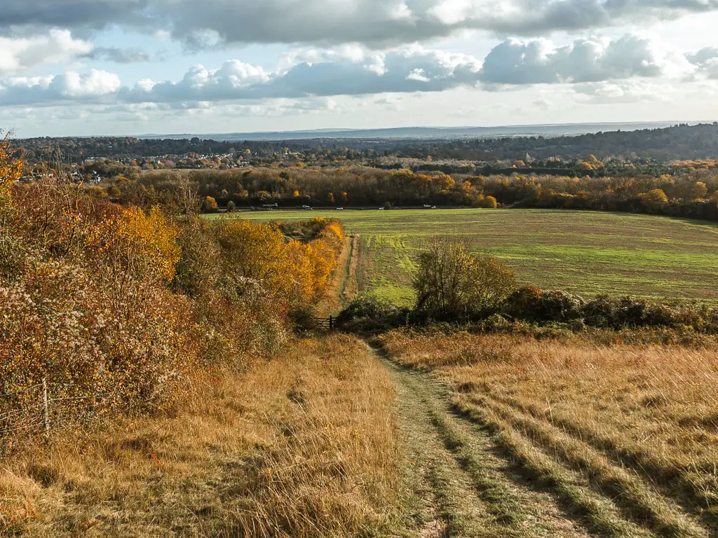 The grass trail leading down the hill, with a large field at the bottom, and woodland trees past the field.