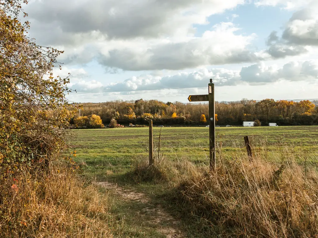 A dirt trail curving to the left around the bush, with a wooden trail signpost on the curve. There ism a large green grass field ahead, and trees in the distance. 