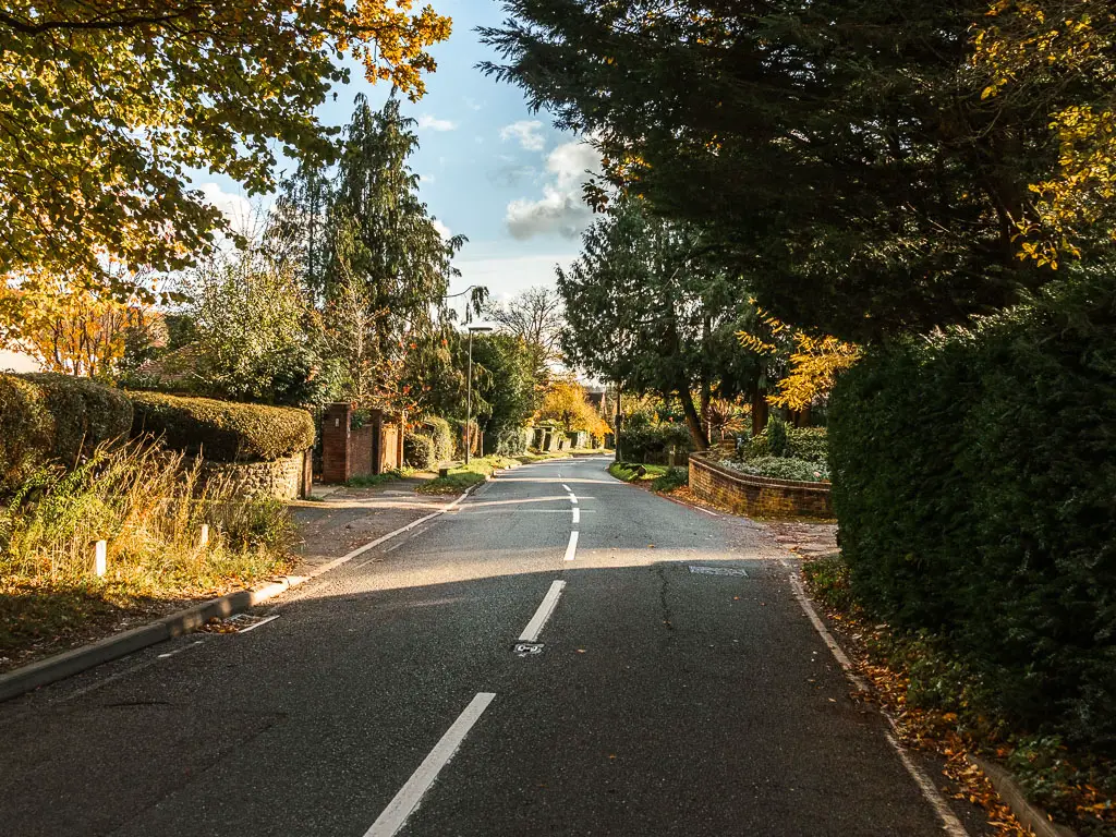 A residential road leading straight ahead. The road is lined with either hedge or stone walls and some trees.