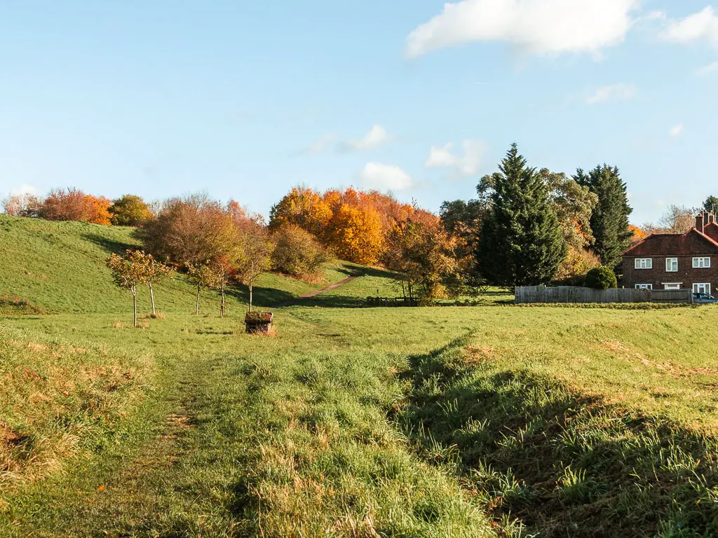 A grass field with a hill ahead and left, with orange leafed trees at the top. There is a house ahead on the right.