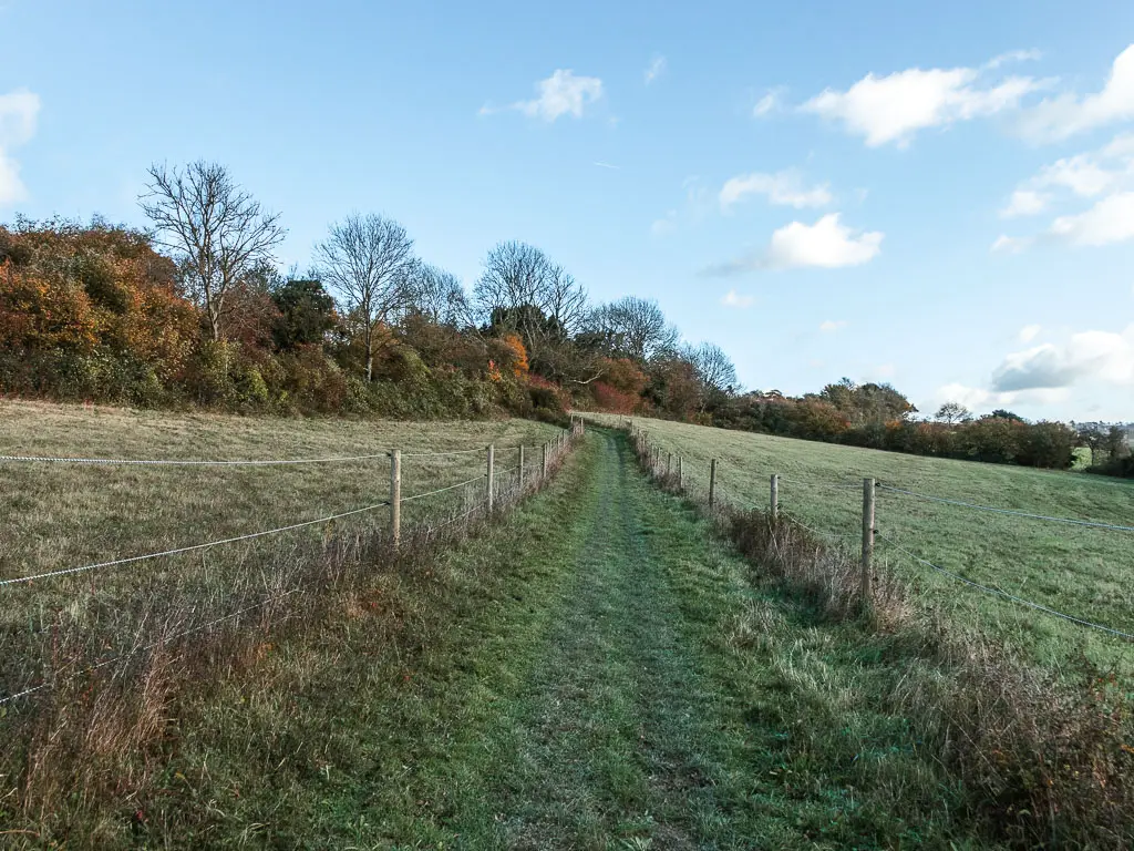 A grass path leading uphill, lined with wire fence and fields. There are trees ahead at the top of the hill.