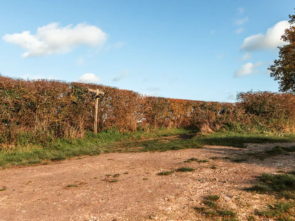 A wodę dirt path across the screes, witty a hedge on the other side and wooden trail signpost in front of it.