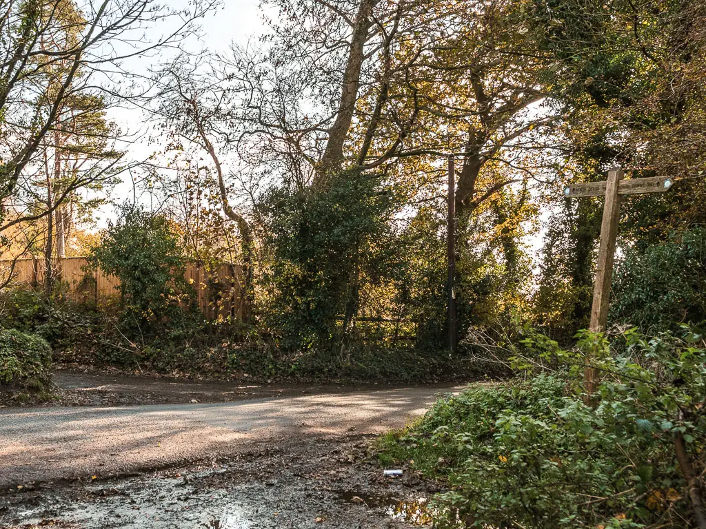 A country road from left to right, with a bush on this side, and more bushes in the other side. There is a wooden trail signpost on this side of the road.