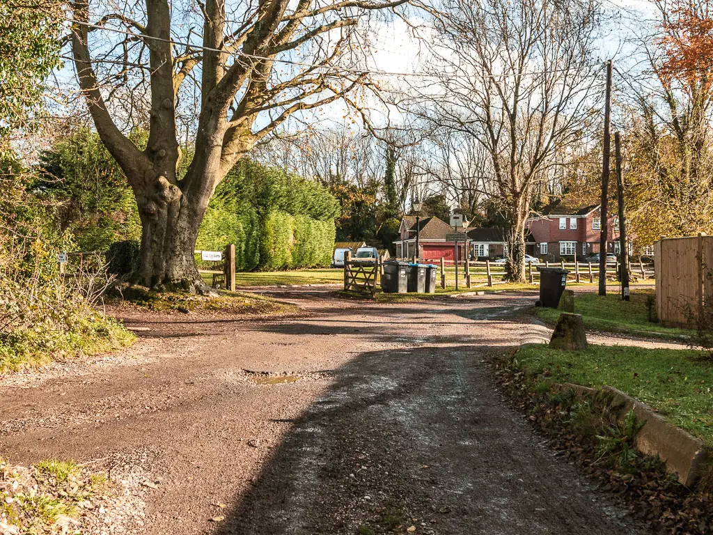 A dirt road leading towards some houses. There are a few leafless trees ahead. 