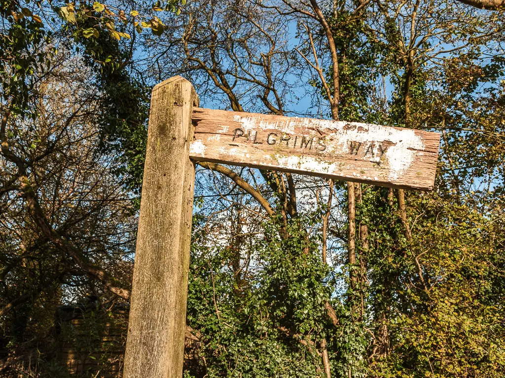 A wooden trail signpost pointing right for the pilgrims way. There are green leafy trees behind the sign.