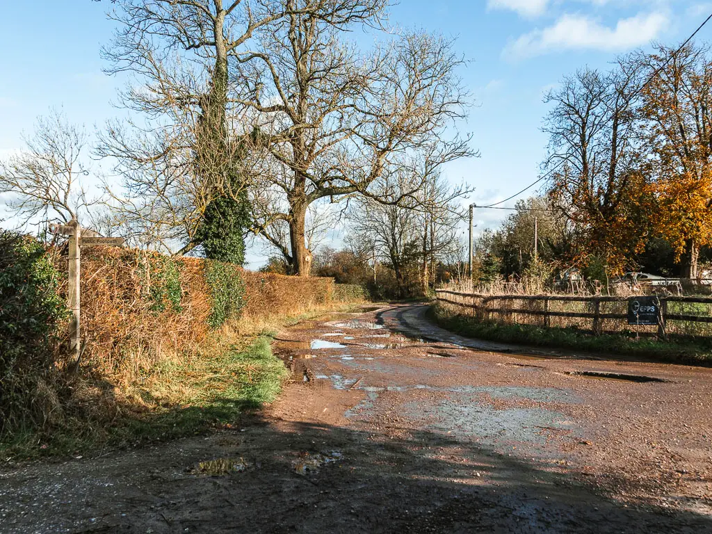 A wet dirt road leading ahead, with a few puddles in it. There is a hedge on the left side and wooden fence on the right. 