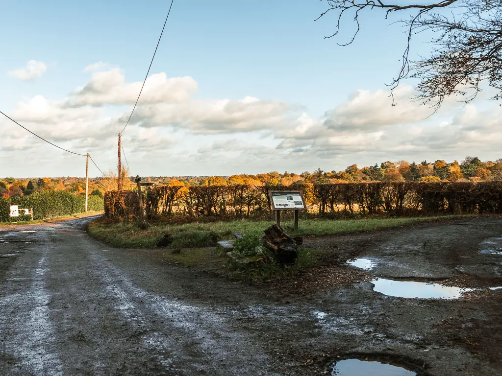 A dirt road on the left, and dirt road leading off it to the right, with a small green in the junction. There is an information board in the junction. There are orange leafy trees ahead in the distance. 