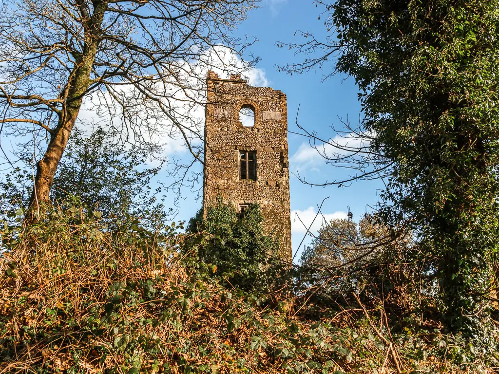 Ruins of a tall stone tower ahead behind the bushes and trees, when walking between Merstham and Oxted. 