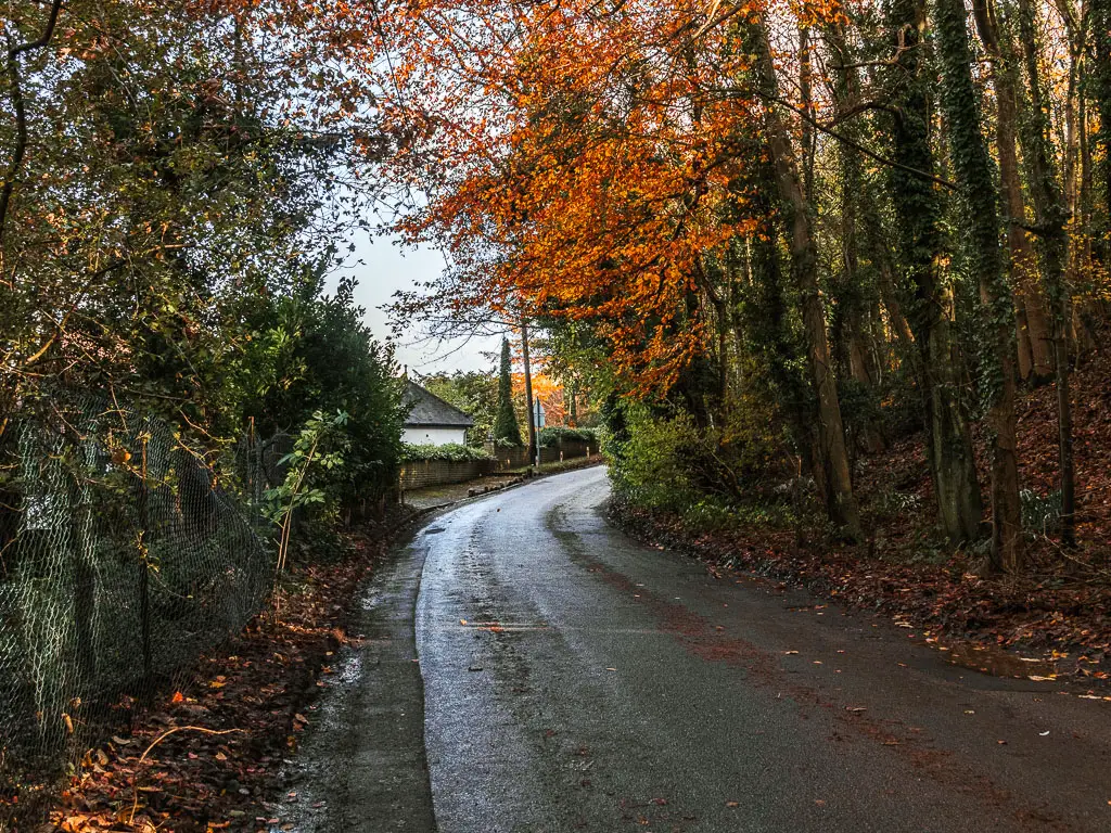 A dark road leading ahead and then carving right, lined with trees. The trees have a mix of green and bright orange leaves. There is the rooftop of a house visible past the road bend ahead. 