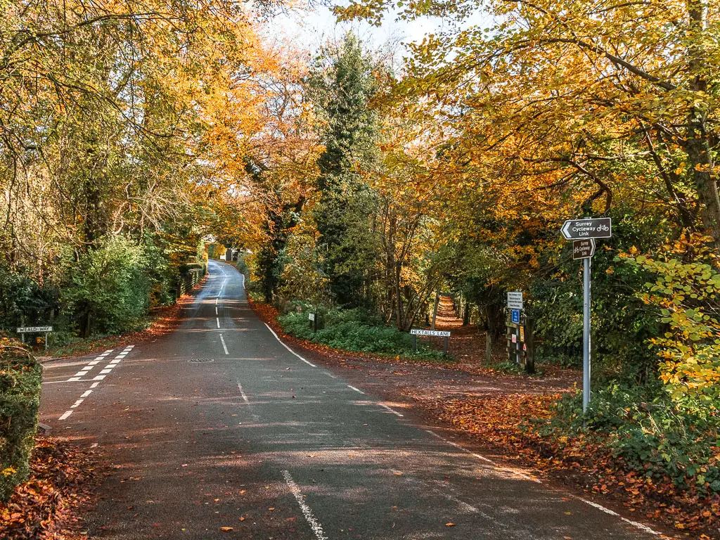 A road leading ahead and lined with bushes and trees. There is a dirt trial leading off the road on the right side with a few road and trail signposts on the right.