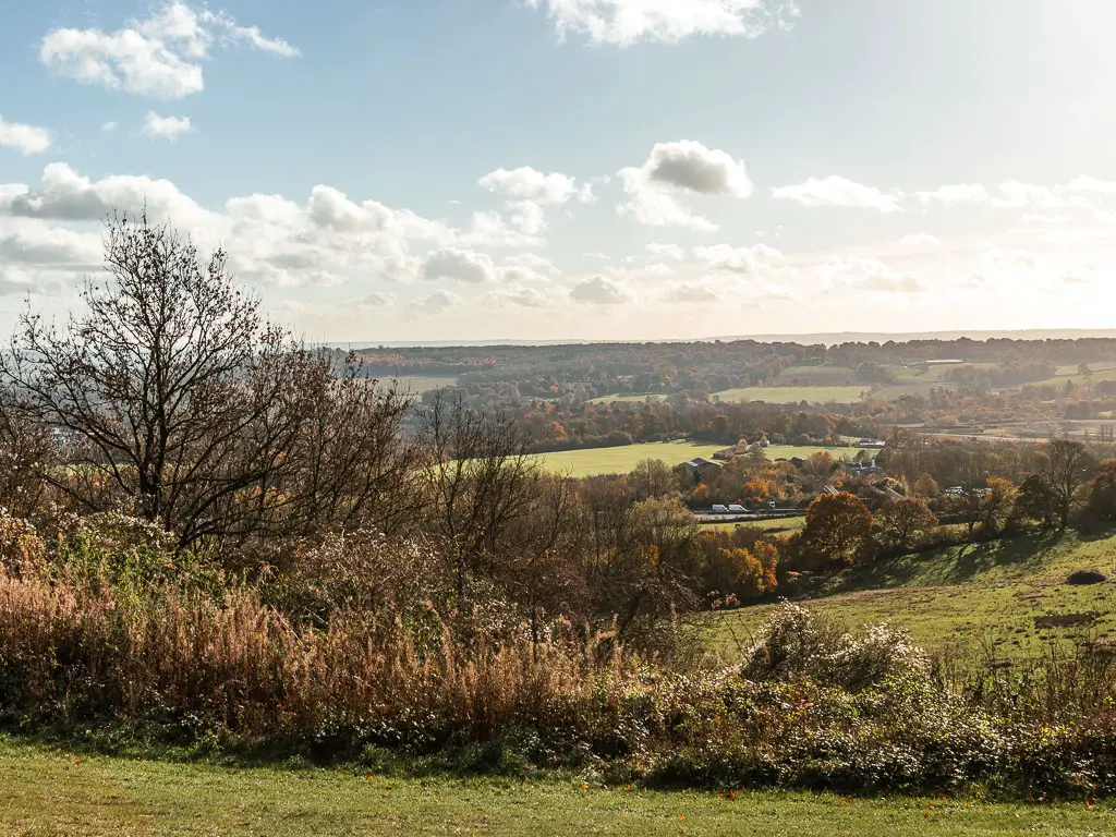 Looking down the hill to a view of fills of green surrounded by trees.