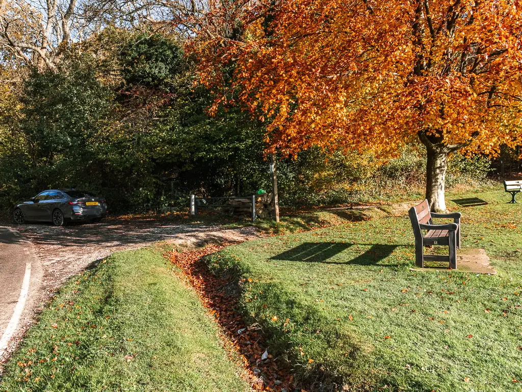 the corner of the green with neatly cut grass. There is a path going around the corner of the green. There is a wooden bench on the green on the right and a tree full of orange leaves. 