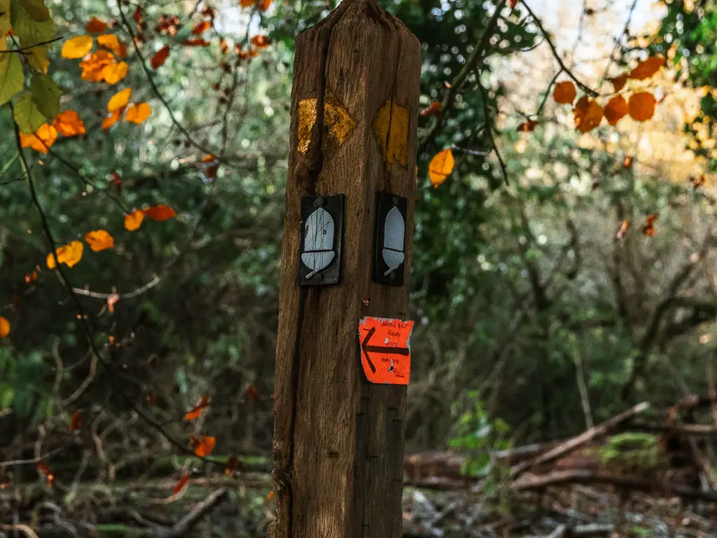 A wooden stump trail sign with two white acorn signs on it, marking the North downs way national trail between Merstham and Oxted.