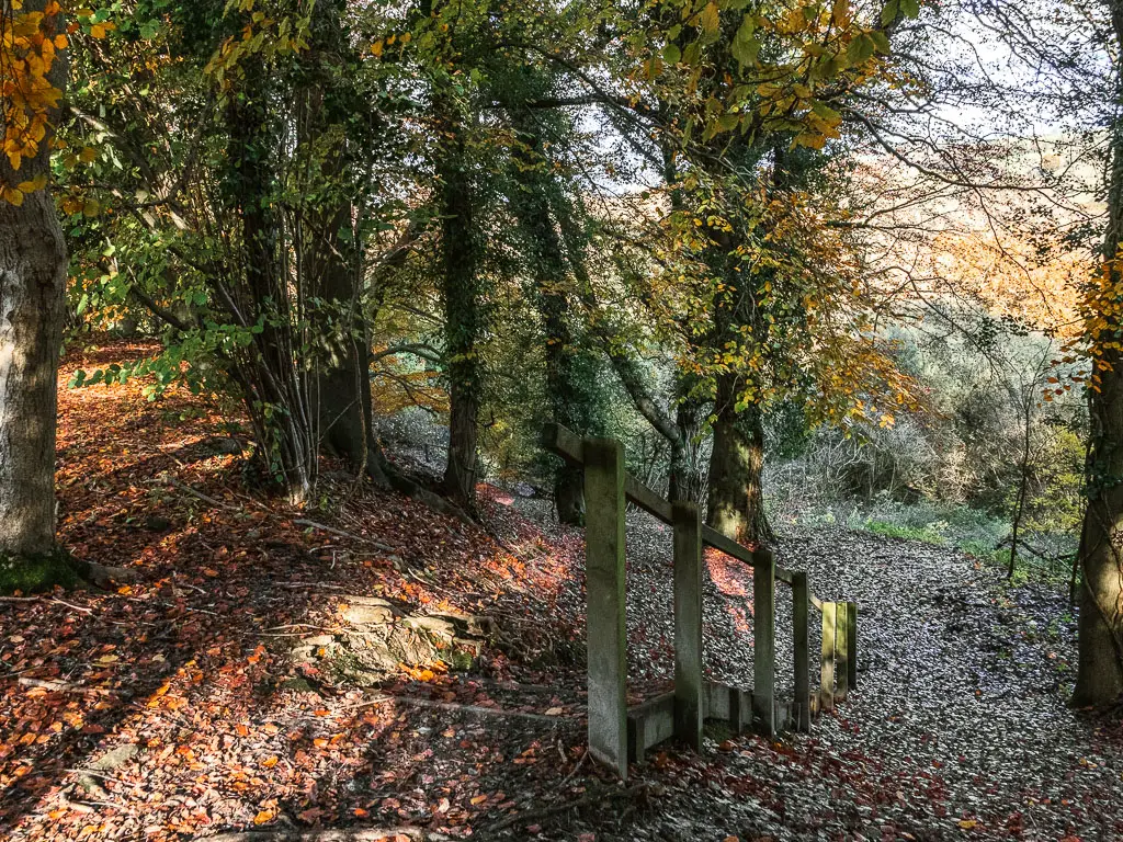 Wooden railing and steps leading down in the woods. The ground is covered in fallen brown leaves. 