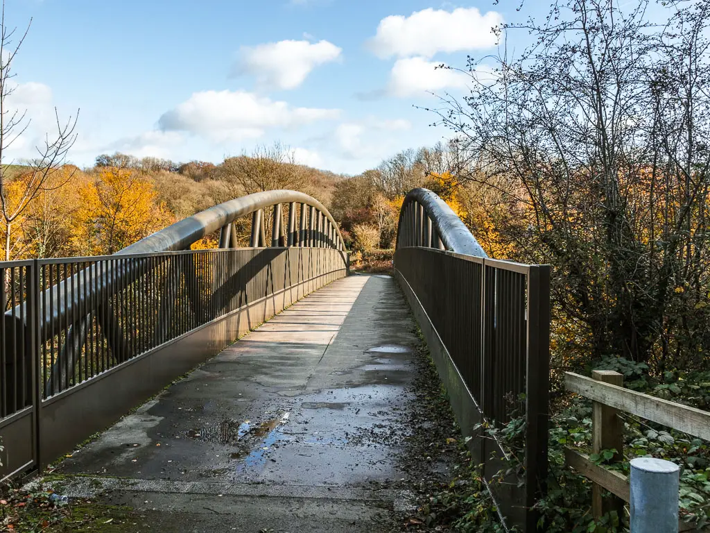 A bridge with, metal railings and the yellow leafed tree tops ahead. 