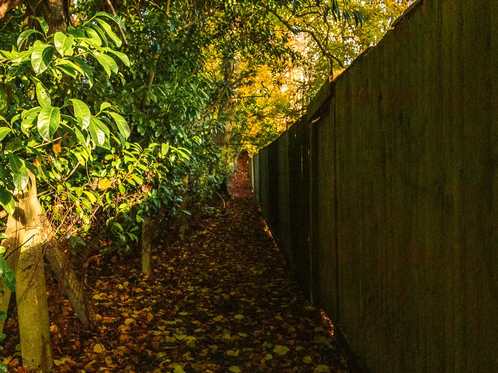 A dirt path with a wooden fence on the right and green leafy bushes to the left.