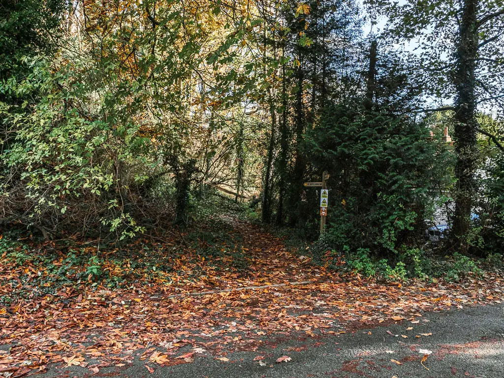 Looking across the road to a trail leading up through the trees. There is a wooden trail signpost next to the trail on the right.