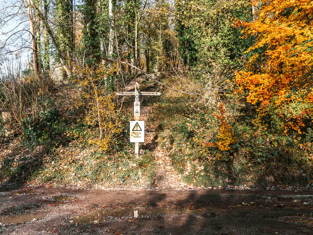 Looking across the road with a tall grass bank, and a wooden trail signpost pointing left, right and back. 