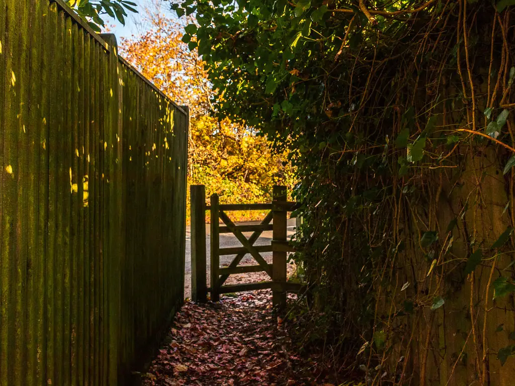 A lease covered dirt path leading to a wooden gate. The path is lined with wooden fences. There is light beyond the gate.