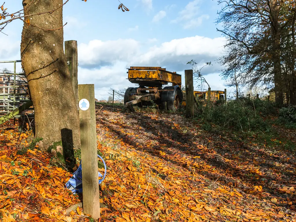 A wooden trail stump sign with a blue and white arrow pointing ahead, across a ground covered in fallen orange leaves. There is a farm tracker trailer ahead. 