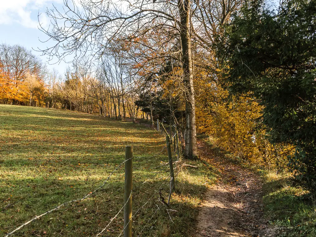 A dirt trail leading up the hill on the right, with the grass hill field to the left. There is a wire fence between the trail and field. with a There are bushes and trees lining the right side of the trail.