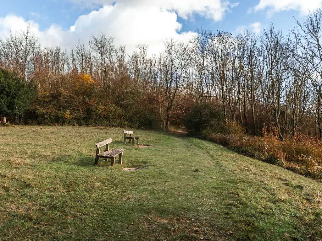 A green with neatly cut grass, and two wooden benches in the middle, on the walk from Merstham to Oxted. There are leafless trees head, with left bushes below them.